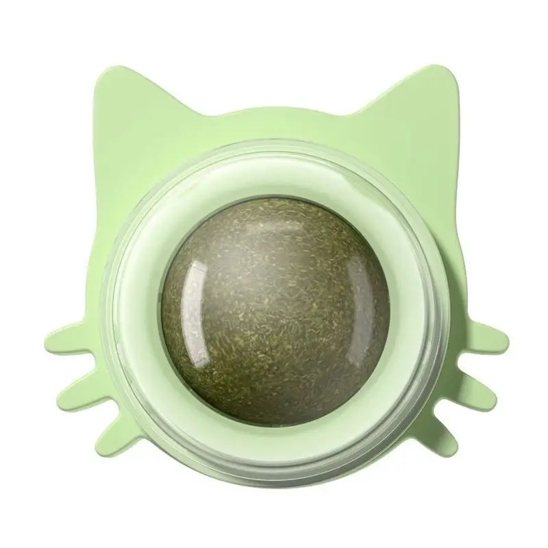 Cat Play Ball for a Healthy Stomach and More Cheerfulness - Image 4