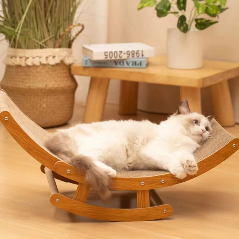 Clawed Cat - Image 4