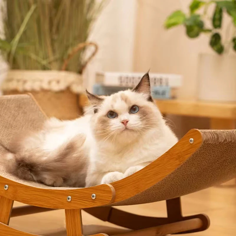 Clawed Cat - Image 5