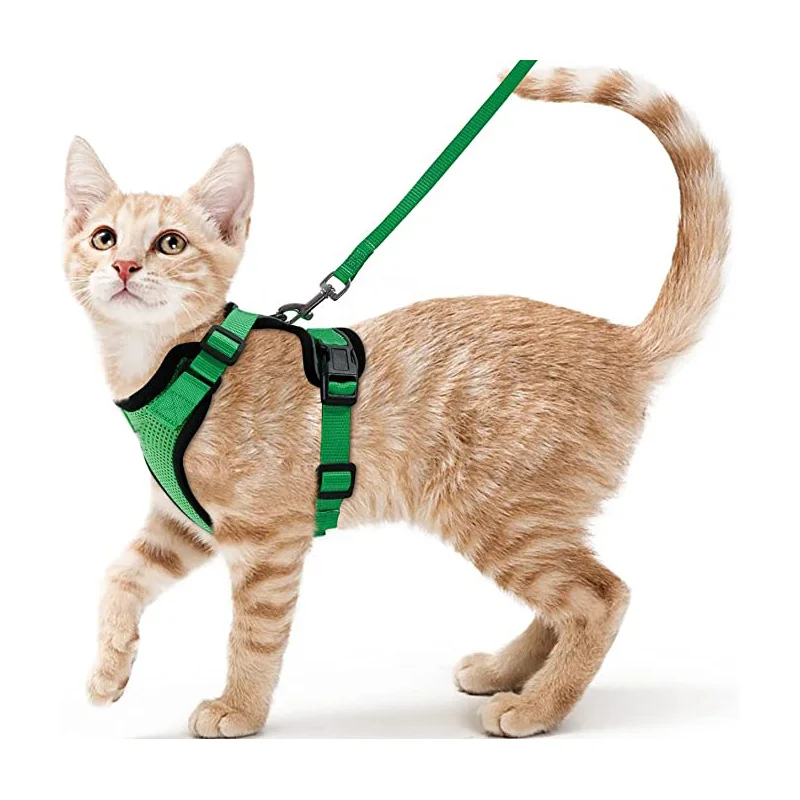 Comfortable and Safe Walking Harness for Cats - Image 8