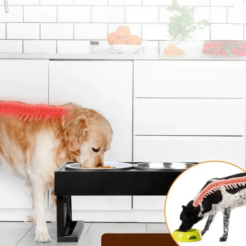 Comfortable Elevated Dog Bowl with Non-slip Mat - Image 3