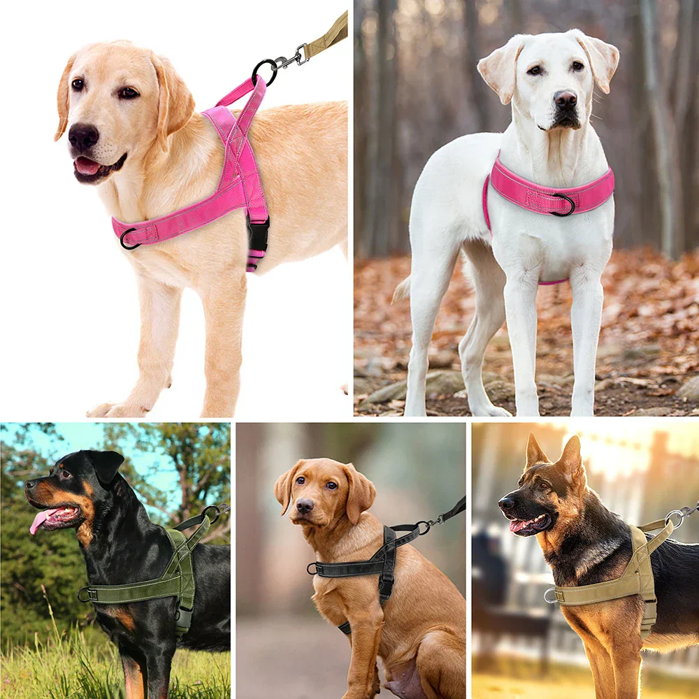 Comfortable Nylon Training Harness for Small and Medium Dogs - Image 2