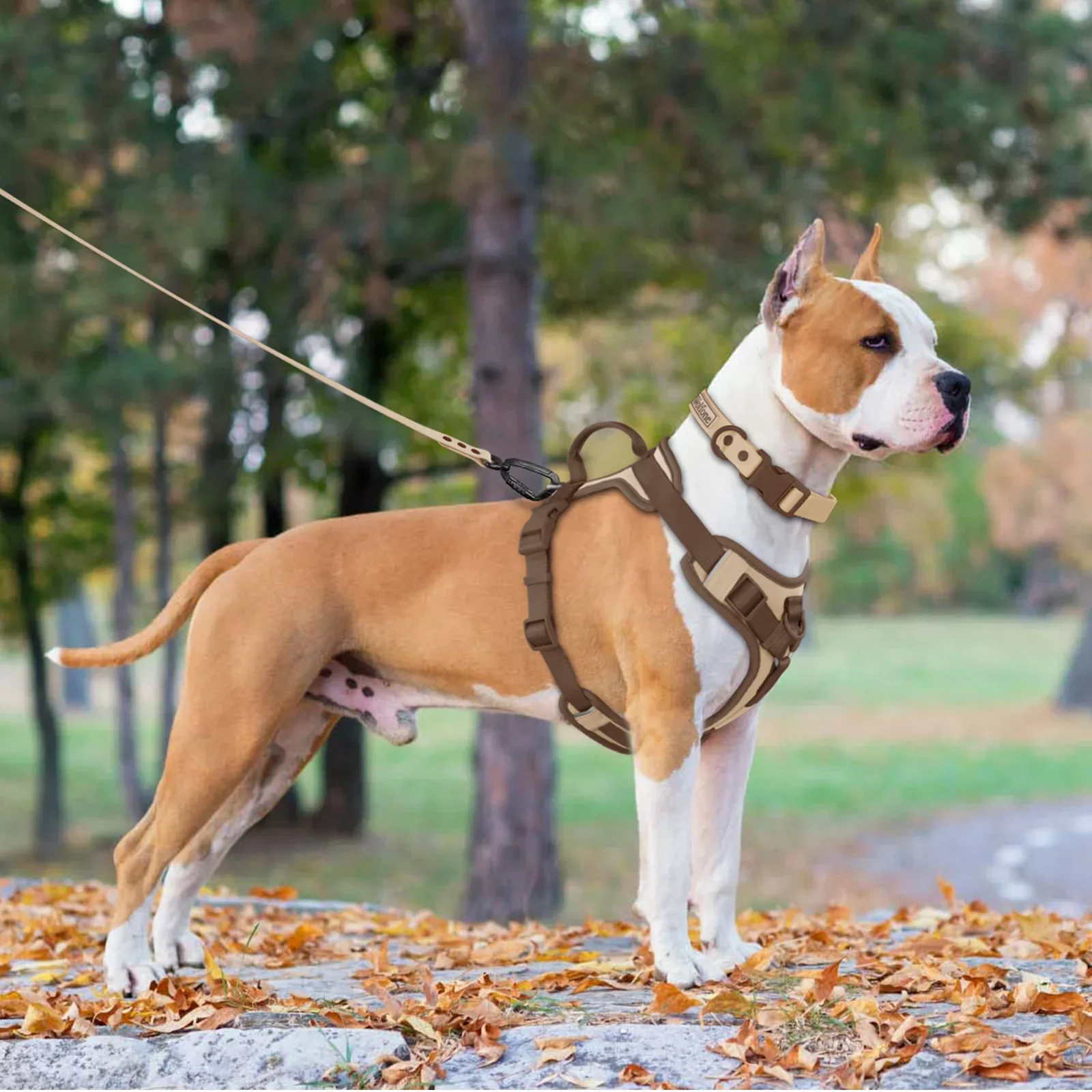 Luxe Adjustable Dog Harness for Small and Large Breeds