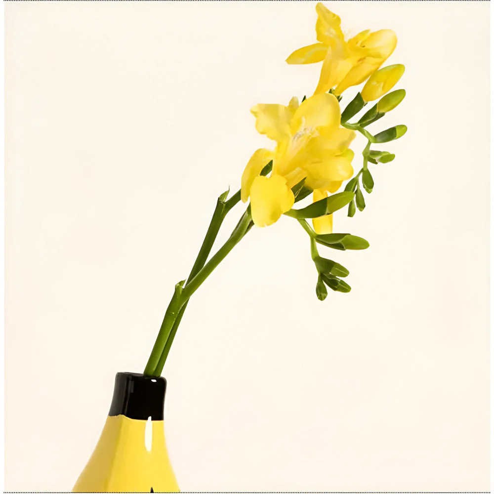Seralith - Unique Modern Decorative Banana-Shaped Vase for Stylish Interiors - Image 4